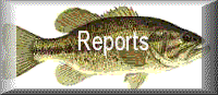 Ozark Fishing Reports